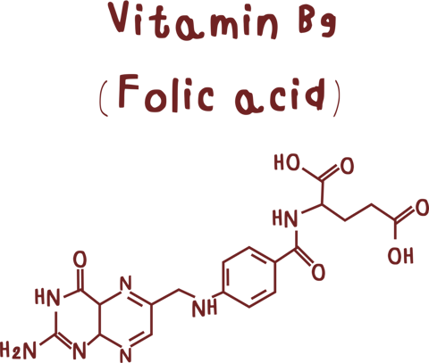 TETRAFOLIC