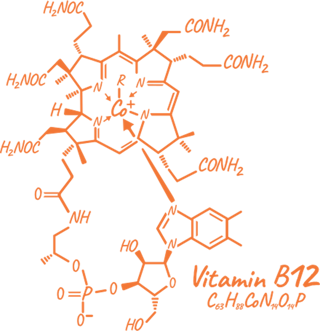 B12 Vitamini Kullanım Alanları